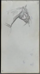 Cuaderno de bocetos, página 21: Estudio de un caballo
