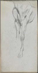 Cuaderno de bocetos, página 48: Estudio de un caballo