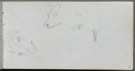 Cuaderno de bocetos, página 53: Estudio de animales y estudio de árboles