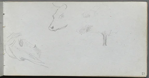 Cuaderno de bocetos, página 53: Estudios de animales y estudio de árboles