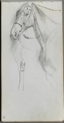 Cuaderno de bocetos, página 55: Estudio para un caballo