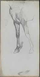 Cuaderno de bocetos, página 66: Estudio de un caballo