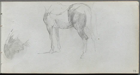 Cuaderno de bocetos, página 73: Estudio de un caballo, perfil