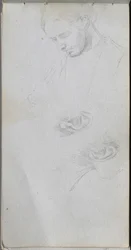 Cuaderno de bocetos, página 96: Estudio de una cara, orejas