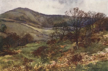 Shanklin Down, principios de la primavera (litografía en color)