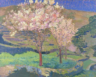 Árboles en flor con terrazas