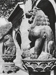 Taiyuanfu, Ta pei sze, Shansi, Leones de bronce a la entrada del templo (foto en blanco y negro)