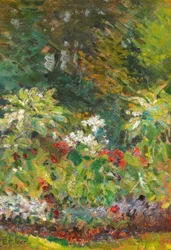 Parcela de jardín en flor
