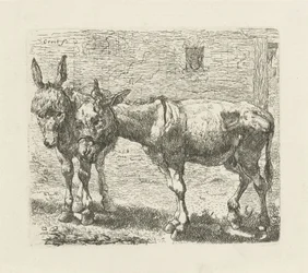 dos burros