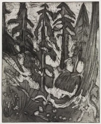 Bosque de montaña