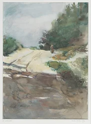 Carretera de arena a través de un paisaje boscoso
