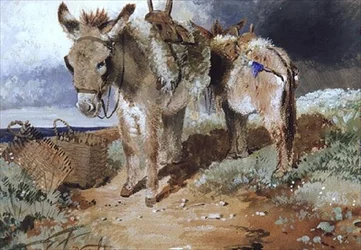 Burros, 1855