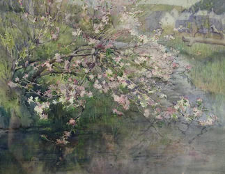 Flores de mayo junto al río