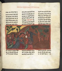 O. 607 f051r, Escena de la vida de la Virgen María, de 