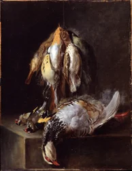 Pájaros muertos