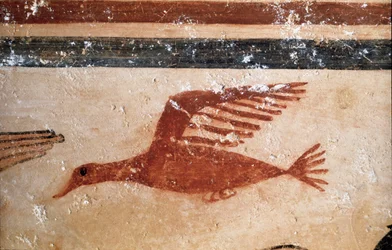 Un pájaro. (Detalle de fresco, 530 a.C.)