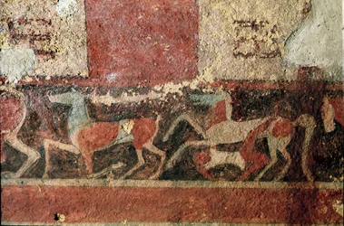 Caballos y jinete. (Detalle de fresco, 510 a.C.)