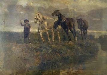 Camino de sirga