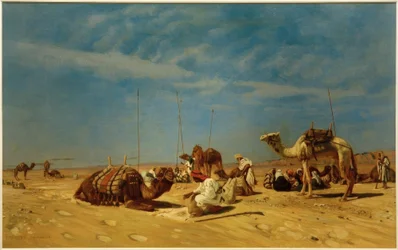 Descanso en Araba (Arabia Petraea)