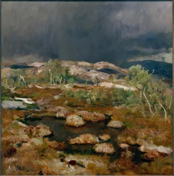Chubasco en la alta turbera noruega