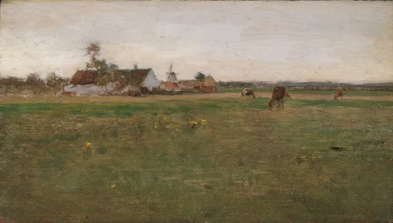 paisaje de la tarde