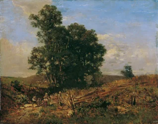 Grupo de árboles en el camino de tierra