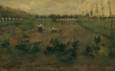 trabajo de campo