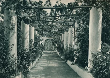 Pérgola en un viñedo, Capri, Italia, 1927