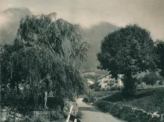 Camino al Castillo de Tirol, Merano, Tirol del Sur, Italia, 1927