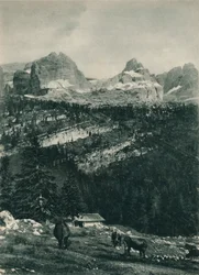 Vista del Grupo Brenta con pasto alpino, Madonna di Campiglio, Dolomitas, Italia, 1927