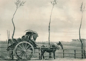 Portador de vino en la Campagna, Roma, Italia, 1927