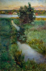 Arroyo, Fjällskäfte