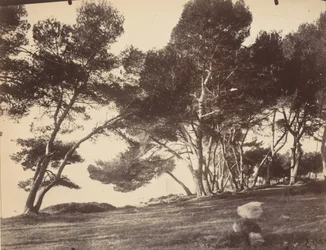 Cannes, isla de Saint Honorat, hacia 1899-1927 (foto)