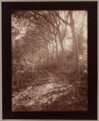 Parque de Sceaux