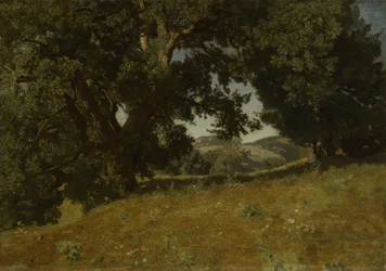 Paisaje