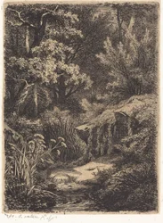 El pequeño arroyo