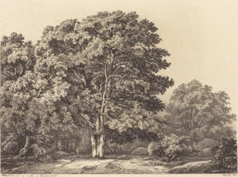 Entrada a un Bosque, 1840