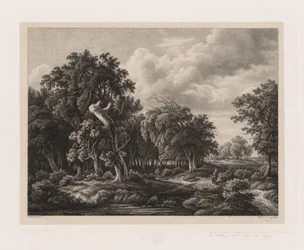 Groups of Various Plants Drawn After Nature:  No. 7