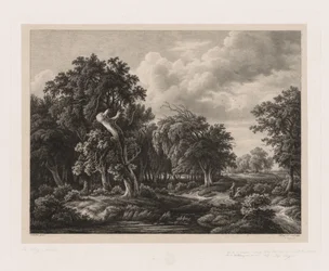 Grupos de varias plantas dibujadas de la naturaleza: No. 7, 1855