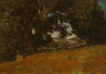 Paisaje