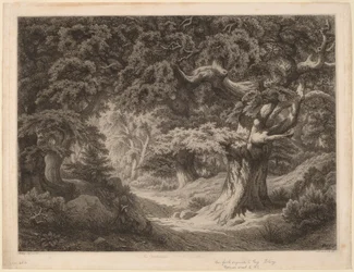 Le Charlemagne, bosque de Fontainebleau