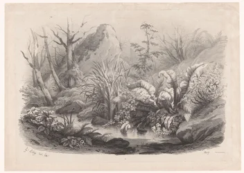 Oeverplanten bij een beek
Diverse planten (título de la serie)
Diversos grupos de plantas dibujados en la naturaleza y litografiados (título de la serie)