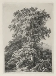 Estudios dibujados y grabados de la naturaleza: La playa, Fontainbleau, 1840