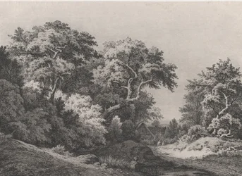 El Borde del Bosque, cerca de Rambouillet, 1860