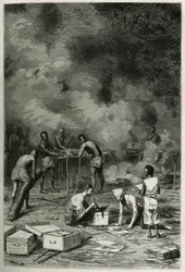 El secado de plantas de herbario, en grandes bandejas de bambú, antes de que el doctor las clasifique y las guarde en sus cajas, grabado por Eugene Burnand, para ilustrar la historia de Laos y las poblaciones salvajes de Indochina por el Doctor Harmand, en