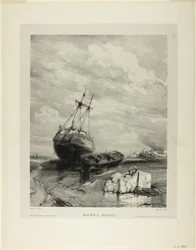 Marea baja, lámina seis de Seis marinas