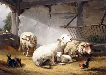 Ovejas, conejos y un pollo en un granero, 1859
