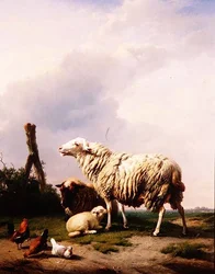 Ovejas y aves de corral en un paisaje