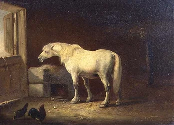 Caballo blanco en un establo