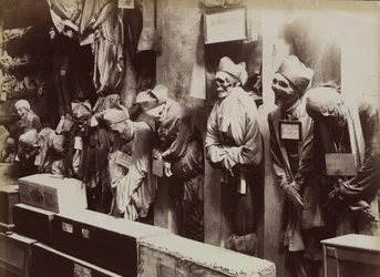 Catacumbas, Convento de los Capuchinos, Palermo, ca. 1895